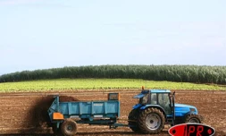 Démonstration d'épandage de fumiers  de bovins et de chevaux dans un champ de salades, agriculture