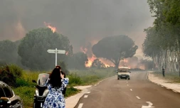 Une femme prend en photo l'incendie qui frappe plusieurs communes des Pyrénées-Orientales, dont ArgelÚs-su-Mer, le 14 août 2024