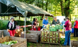 Des consommateurs locaux, des propriétaires et des dirigeants de la premiÚre ferme collective des Pays-Bas viennent récupérer leur part de la récolte, le 13 octobre 2018 à Boxtel, dans le sud des Pays-Bas