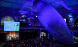 Le secrétaire général de l'ONU, Antonio Guterres lors d'un discours spécial sur l'action climatique au Musée américain d'histoire naturelle de New York, à l'occasion de la Journée mondiale de l'environnement, le 5 juin 2024