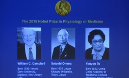 Les portraits des trois lauréats du prix Nobel de médecine visibles sur un écran lors de la conférence de presse du comité Nobel, le 5 octobre 2015 à Stockholm