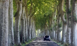 Probable prochaine annonce d'une réduction de la vitesse à 80 km/h sur les routes secondaires en France