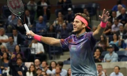 L\'Argentin Juan Martin del Potro 