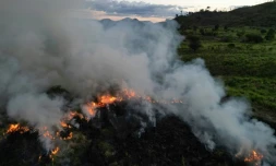 Un champ en feu à Sao Felix do Xingu, en Amazonie, dans le nord du Brésil, le 20 juin 2025