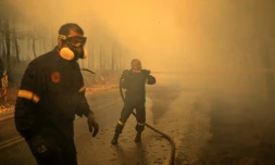 Des pompiers grecs tentent d’éteindre un incendie de forêt dans la région de Porto Germeno, à quelque 70 kilomètres au nord-ouest d’Athènes, dans la région de la Viotia, le 2 août 2026