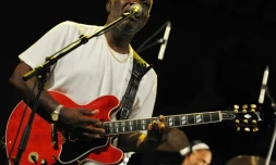 Jacob Desvarieux en concert avec le groupe Kassav' le 1er mai 2009 à Abidjan