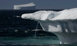 En Arctique, les températures augmentent quatre fois plus vite que la moyenne mondiale, la glace fond comme peau de chagrin. Fjord de Scoresby, est du Groenland, le 12 août 2023