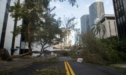 Une rue de Miami après le passage d'Irma, le 11 septembre 2017