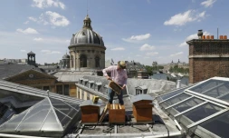 L'apiculteur Audric de Campeau rend visite à ses abeilles sur le toit de la Bibliothèque Mazarine, le 18 juillet 2017 à Paris