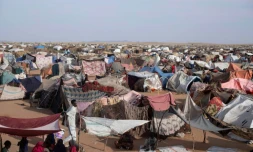 Abris de fortune dans le camp d'Um Yanqur, prĂšs de Tawila, dans l'ouest du Soudan, le 3 novembre 2025