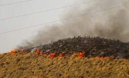 Des flammes s'Ă©tendent sur un colline prĂšs de Bedar, dans le district de Los Gallardos, dans la province espagnole d'AlmerĂa, le 11 juillet 2026 en Espagne