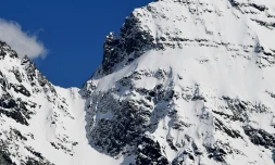 Le guide qui avait été pris vendredi sur la commune d'Entraunes (Alpes-Maritimes) dans une avalanche au cours de laquelle quatre des cinq randonneurs à ski qu'il encadrait avaient péri, a été remis en liberté samedi après 24 heures de garde à vue