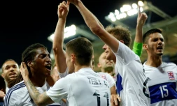 Les joueurs luxembourgeois en liesse après avoir tenu en échec l'équipe de France (0-0) en qualif pour le Mondial-2018, le 3 septembre 2017 à Toulouse