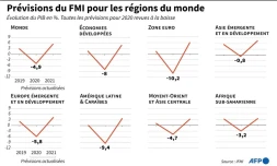 Prévisions du FMI pour les régions du monde
