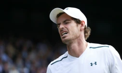 Le Britannique Andy Murray face à l'Américain Sam Querrey en quarts de finale à Wimbledon, le 12 juillet 2017