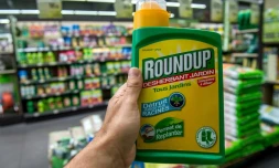 Une bouteille de désherbant Roundup dans une jardinerie de Lille le 15 juin 2015