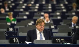 Guy Verhofstadt, "référent" des eurodéputés sur le Brexit, le 3 octobre 2017 au Parlement européen à Strasbourg 