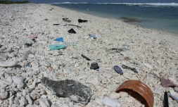 Des chercheurs américains et britanniques ont conçu par hasard une enzyme capable de détruire du plastique, ce qui pourrait contribuer à résoudre le problÚme mondial lié à ce type de pollution