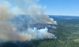 Un feu de forêt en Colombie-Britannique, au Canada, le 2 juillet 2021