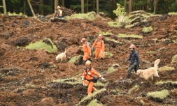 Les secours intensifent leurs efforts à la recherche de survivants dans le village de Minami-Aso emporté par un glissement de terrain, le 18 avril 2016