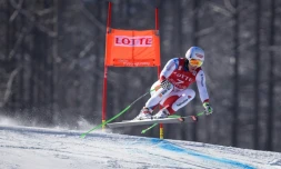 Le Suisse Carlo Janka lors du Super-Géant de Jeongseon, le 7 février 2016, en Corée du Sud
