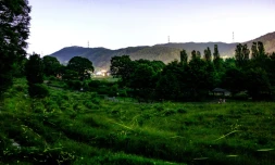 Des lucioles prises en photo avec une exposition lente dans le parc Tatsuno Hotarudoyo à Tatsuno, dans la préfecture de Nagano (centre de l'ßle principale du Japon), le 16 juin 2020