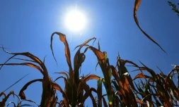 Les dix premiers mois de l'année 2015 ont été les plus chauds jamais enregistrés, a annoncé mercredi l'Agence américaine océanique et atmosphérique (NOAA)