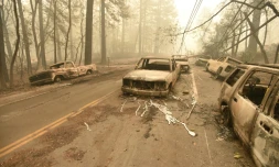 Des véhicules calcinés parsèment les routes de Paradise, petite ville traversée par l'incendie le plus meurtrier de l'histoire de la Californie