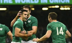 Le demi de mĂȘlĂ©e irlandais Conor Murray (g) fĂ©licitĂ© aprĂšs avoir inscrit un essai contre la France en Coupe du monde le 11 octobre 2015 au Millennium Stadium de Cardiff