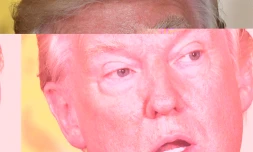 Le président américain Donald Trump à la Maison Blanche le 18 mai 2017