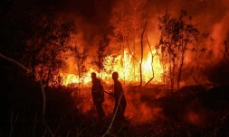 Des pompiers luttent contre un incendie à Banjarbaru, en Indonésie, le 13 octobre 2026