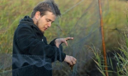 L'ornithologiste Michal Redlisiak sort d'un filet un roitelet huppé le 3 octobre 2015 prÚs de Krynica Morska dans le nord de la Pologne