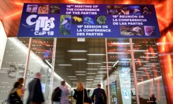 Les délégués arrivent à la Conférence internationale sur la vie sauvage à GenÚve (Suisse), qui veut renforcer les rÚgles de la Convention sur le commerce international des espÚces de faune et de flore sauvages menacées d'extinction (CITES), le 17 août 2019.