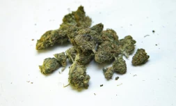 La cannabis thérapeutique va être autorisé au Royaume-Uni sur prescription