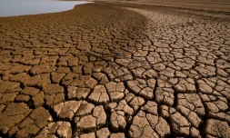 Le sol desséché du barrage d'al-Massira dans le village d'Ouled Essi Masseoud, au sud de Casablanca, le 6 mars 2024 au Maroc