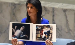 L'ambassadrice US aux Nations Unies, Nikki Haley, montre des photos de victimes lors d'une session au Conseil de sécurité de l'ONU le 5 avril 2017 évoquant une attaque chimique du régime du président syrien Bachar al-Assad tuant des civils en Syrie