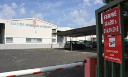 Abattoir municipal de Pezenas, le 29 juin 2016