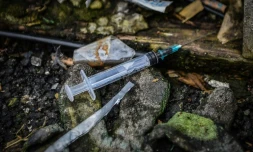 Une seringue jetée dans un bois prÚs de Glasgow, le 15 août 2019 en Ecosse