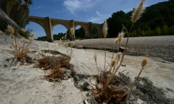Une nouvelle vague de chaleur s'installe sur la France depuis le Sud-Ouest, avec une montée des températures sur tout le pays. Photo du lit de la riviÚre Gardon à Sainte-Anastasie, dans le Gard
