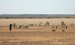 Photo prise dans le désert nigérien le 23 février 2005, entre Agadez et Arlit, à 850 km au nord de Niamey