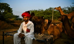 Rakesh Raika, 34 ans, gardien de dromadaires à Rani, dans l'ouest de l'Inde, le 8 décembre 2018