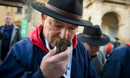 Un contrôleur de truffes sur le marché de Rognes, près de Marseille, le 23 décembre 2018