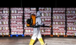 Un homme désinfecte des produits entreposés à Curitiba, au Brésil, le 19 uin 2020