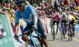 Le Colombien Nairo Quintana (Movistar), le 9 fĂ©vrier 2018 Ă  Tambo, en Colombie, sera l'une des tĂȘtes d'affiche du Tour du Pays basque