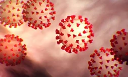 Photo transmise le 27 février 2020 par les Centres pour le contrôle et la prévention des maladies à Washington, représentant le coronavirus Covid-19
