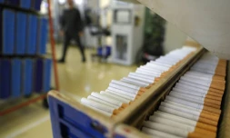 Dans la dernière usine de cigarettes française, à Furiani (Corse), le 8 février 2023