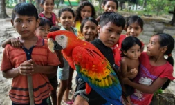 Des enfants de la tribu munduruku dans la réserve indigène d'Itaituba dans l'Amazonie brésilienne le 10 septembre 2019