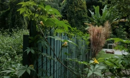 C'est leur jardin d'Eden mais, comme dans la Bible, l'expulsion menace: les Brésiliens vivant depuis des décennies au sein du Jardin botanique de Rio de Janeiro redoutent désormais une intervention de la police pour les déloger.