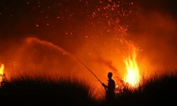 Cette photo prise le 11 août 2026 montre la silhouette d'un villageois tentant d'éteindre un incendie de forêt à Palangkaraya, dans le centre de l'Indonésie