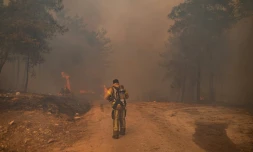 Des pompiers luttent contre un incendie de forêt le 2 août  2021 à Mugla près de Marmaris en Turquie